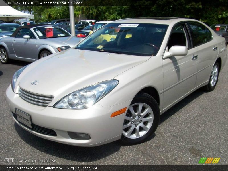 Alabaster Metallic / Black 2002 Lexus ES 300