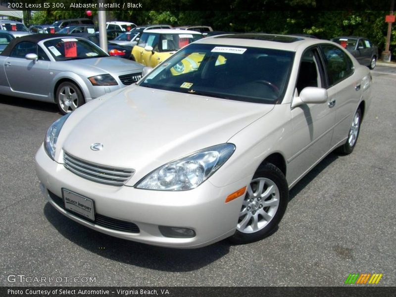 Alabaster Metallic / Black 2002 Lexus ES 300