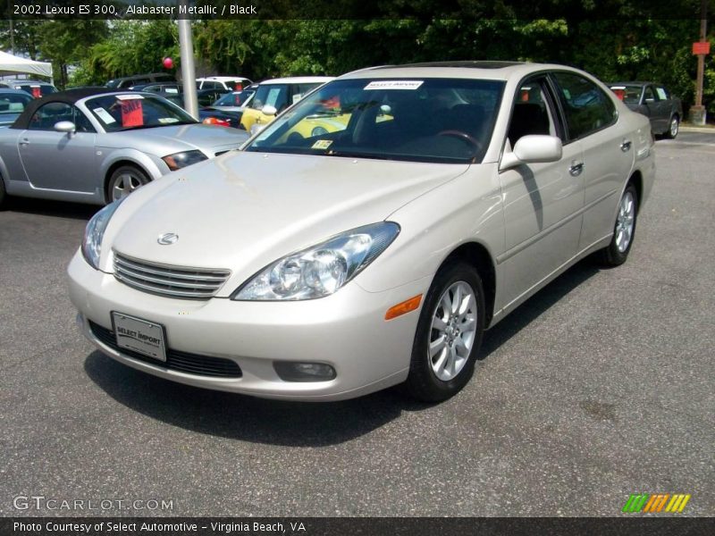Alabaster Metallic / Black 2002 Lexus ES 300