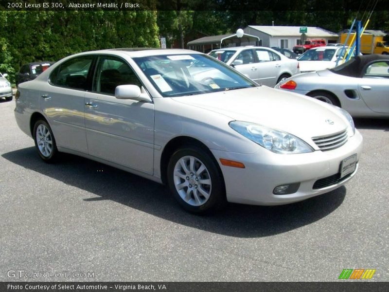 Alabaster Metallic / Black 2002 Lexus ES 300