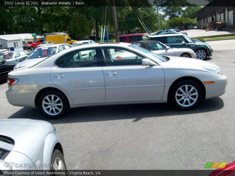 Alabaster Metallic / Black 2002 Lexus ES 300