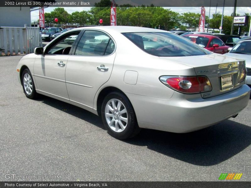 Alabaster Metallic / Black 2002 Lexus ES 300