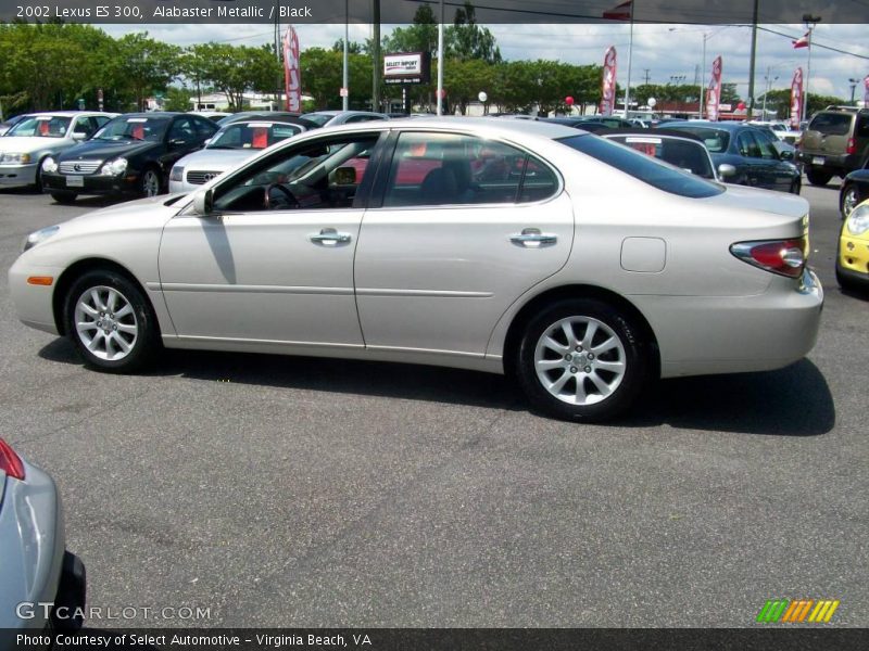 Alabaster Metallic / Black 2002 Lexus ES 300