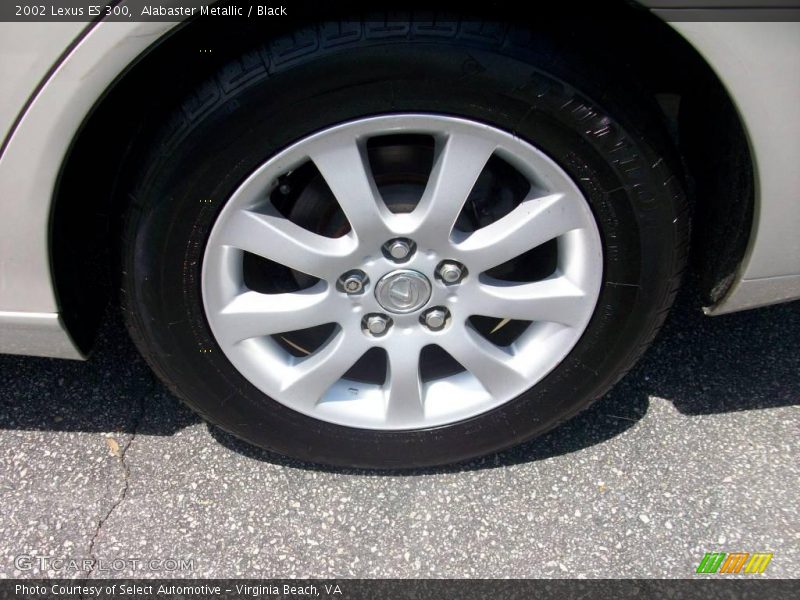 Alabaster Metallic / Black 2002 Lexus ES 300