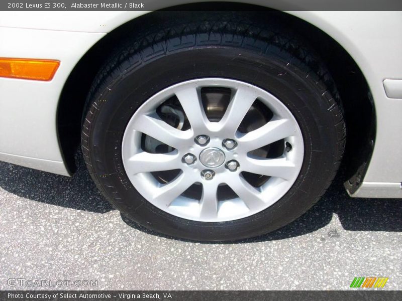 Alabaster Metallic / Black 2002 Lexus ES 300
