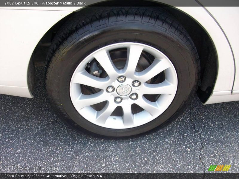 Alabaster Metallic / Black 2002 Lexus ES 300