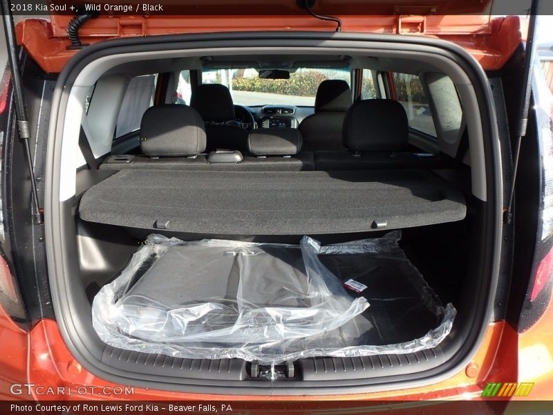 Wild Orange / Black 2018 Kia Soul +