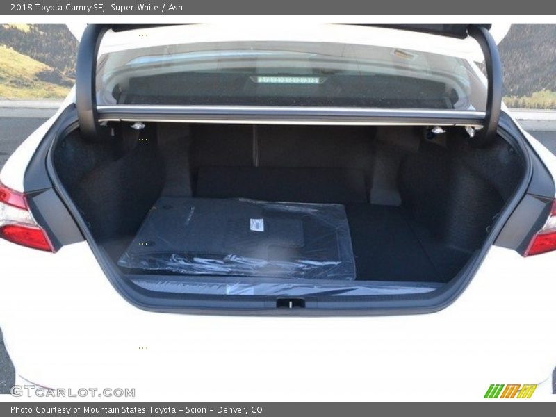 Super White / Ash 2018 Toyota Camry SE