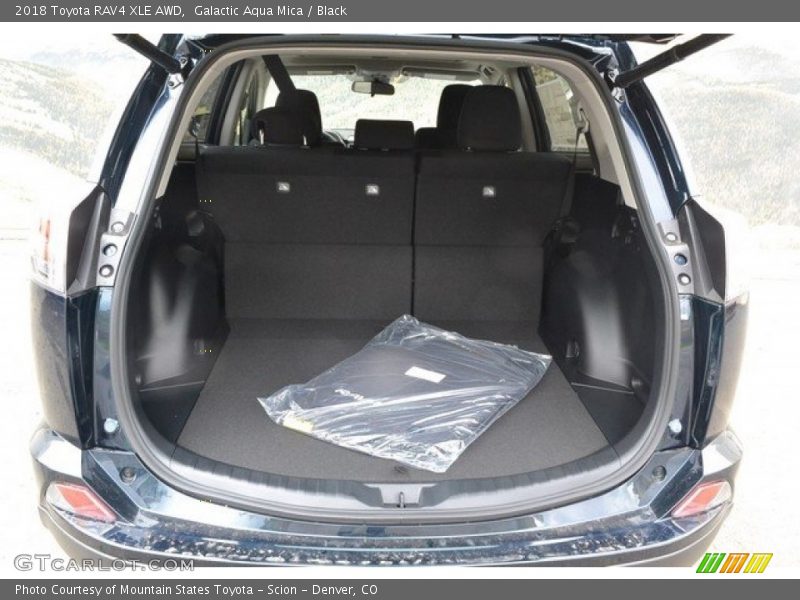 Galactic Aqua Mica / Black 2018 Toyota RAV4 XLE AWD