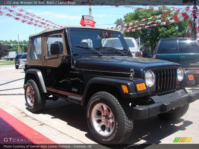 Black / Camel Beige 2002 Jeep Wrangler SE 4x4