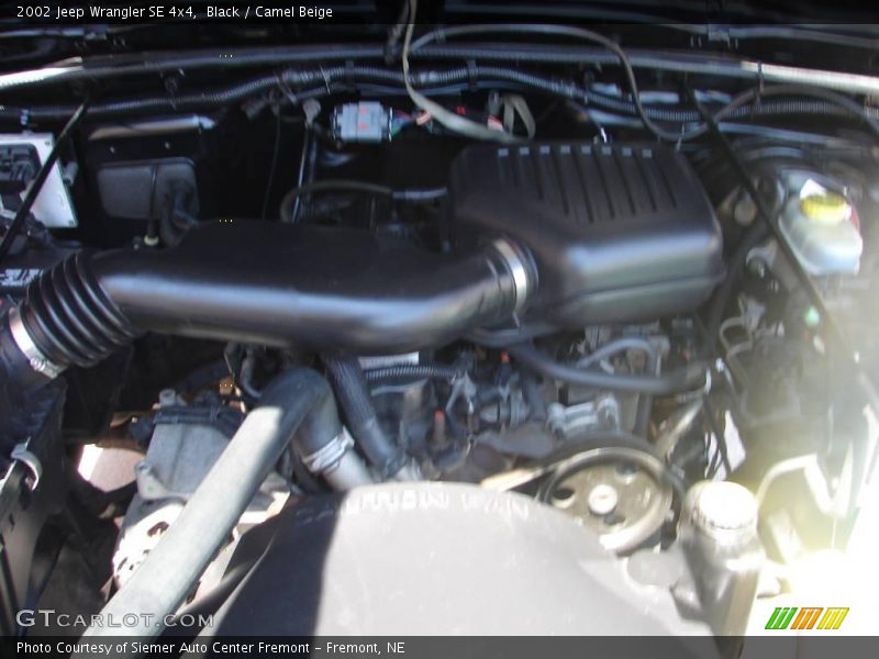 Black / Camel Beige 2002 Jeep Wrangler SE 4x4