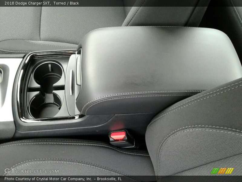 Torred / Black 2018 Dodge Charger SXT