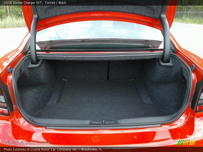 Torred / Black 2018 Dodge Charger SXT