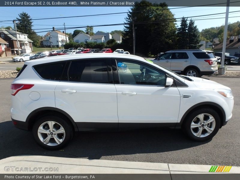 White Platinum / Charcoal Black 2014 Ford Escape SE 2.0L EcoBoost 4WD