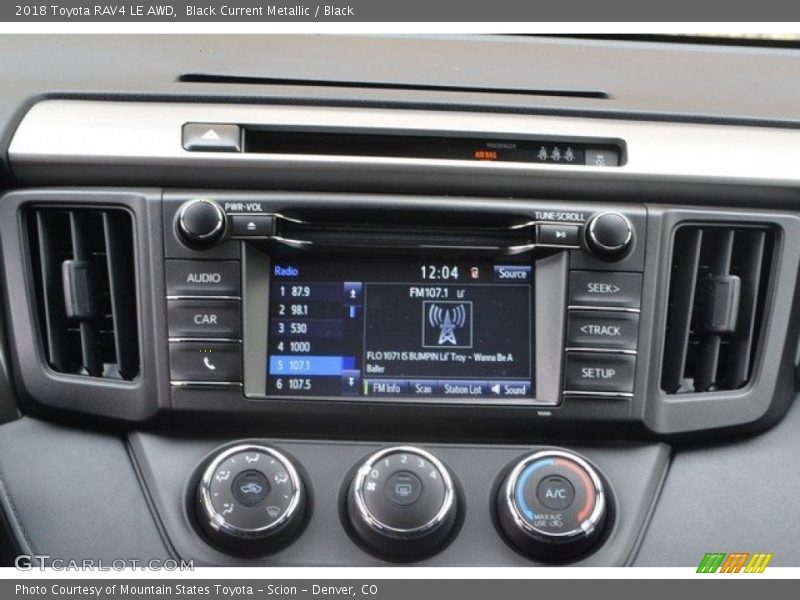 Black Current Metallic / Black 2018 Toyota RAV4 LE AWD