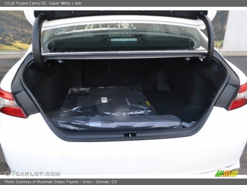 Super White / Ash 2018 Toyota Camry SE