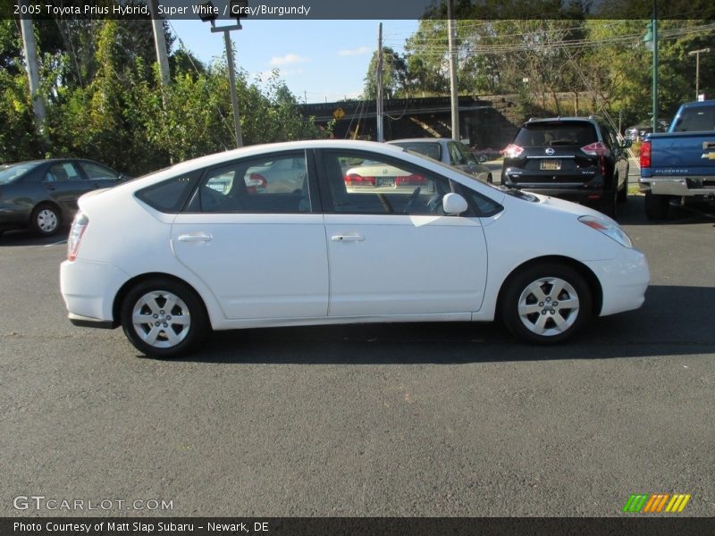 Super White / Gray/Burgundy 2005 Toyota Prius Hybrid
