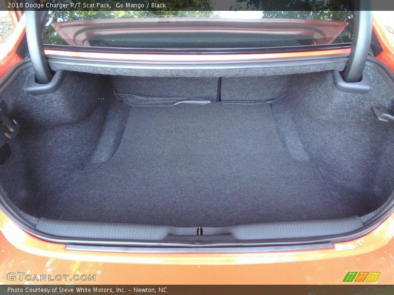 Go Mango / Black 2018 Dodge Charger R/T Scat Pack
