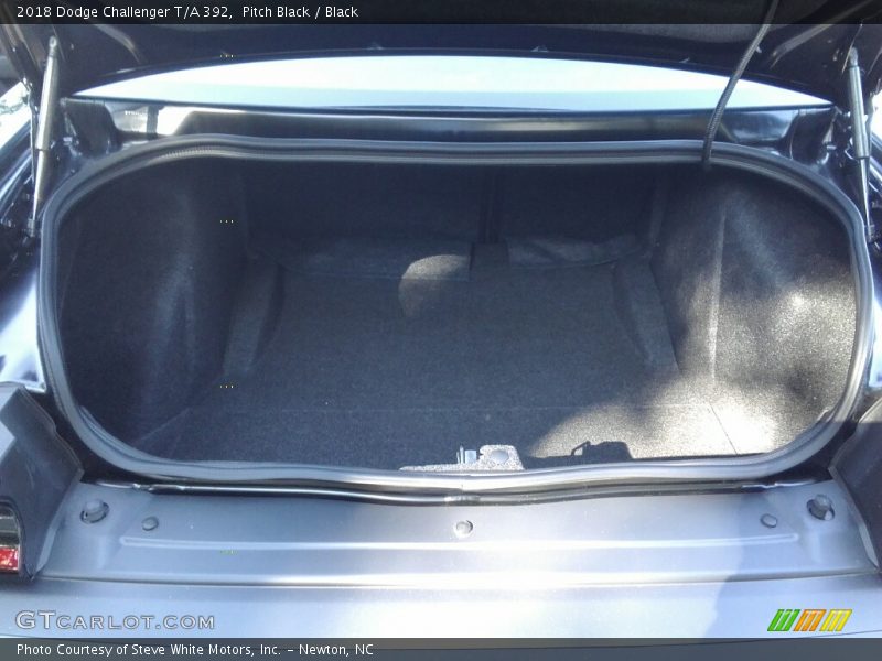 Pitch Black / Black 2018 Dodge Challenger T/A 392