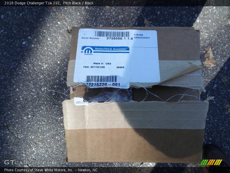 Pitch Black / Black 2018 Dodge Challenger T/A 392