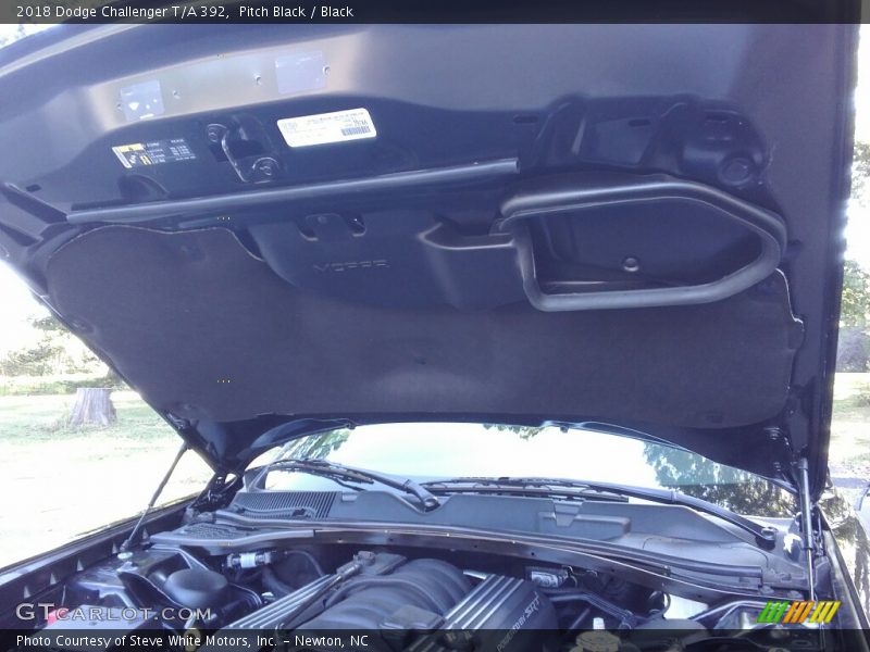 Pitch Black / Black 2018 Dodge Challenger T/A 392