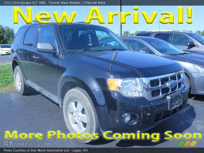 Tuxedo Black Metallic / Charcoal Black 2011 Ford Escape XLT 4WD