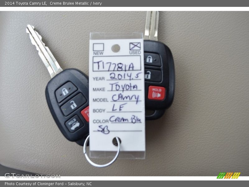 Creme Brulee Metallic / Ivory 2014 Toyota Camry LE