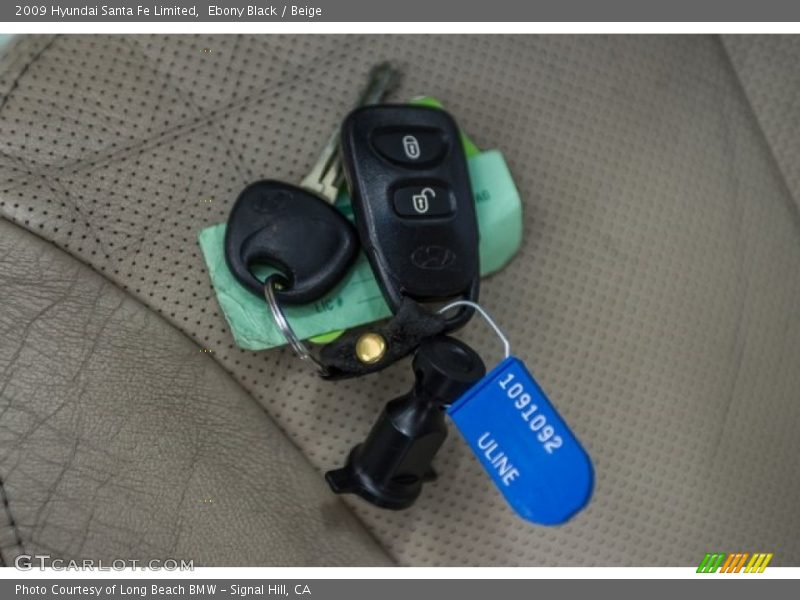 Ebony Black / Beige 2009 Hyundai Santa Fe Limited