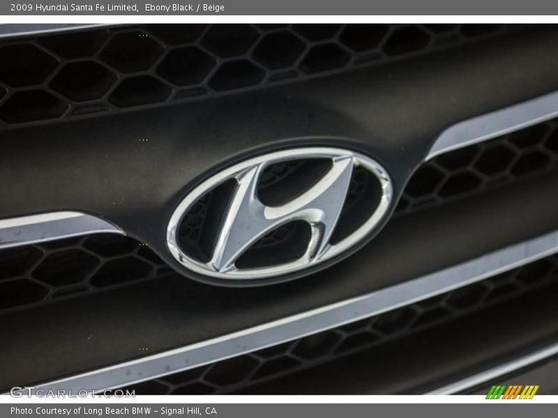 Ebony Black / Beige 2009 Hyundai Santa Fe Limited
