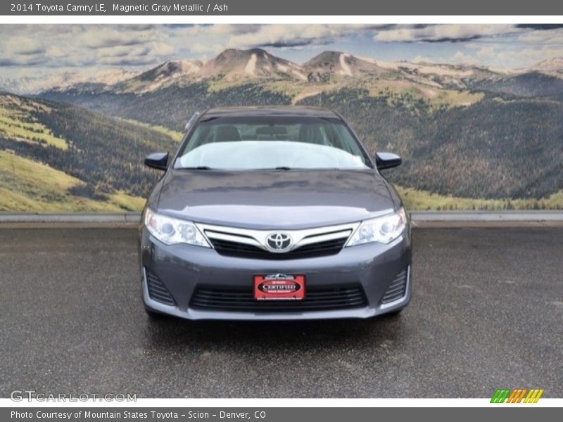 Magnetic Gray Metallic / Ash 2014 Toyota Camry LE