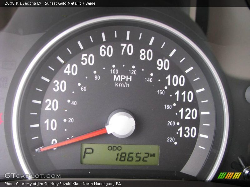 Sunset Gold Metallic / Beige 2008 Kia Sedona LX