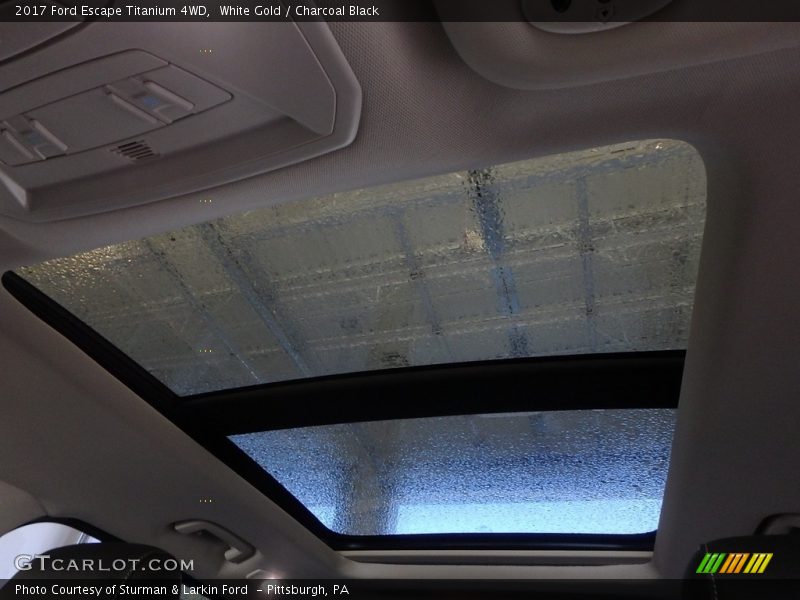 White Gold / Charcoal Black 2017 Ford Escape Titanium 4WD
