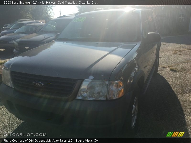 Harvest Gold Metallic / Graphite Grey 2003 Ford Explorer XLS 4x4