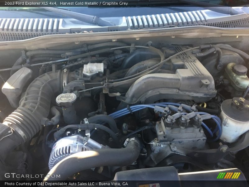 Harvest Gold Metallic / Graphite Grey 2003 Ford Explorer XLS 4x4