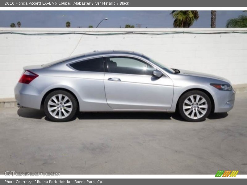 Alabaster Silver Metallic / Black 2010 Honda Accord EX-L V6 Coupe