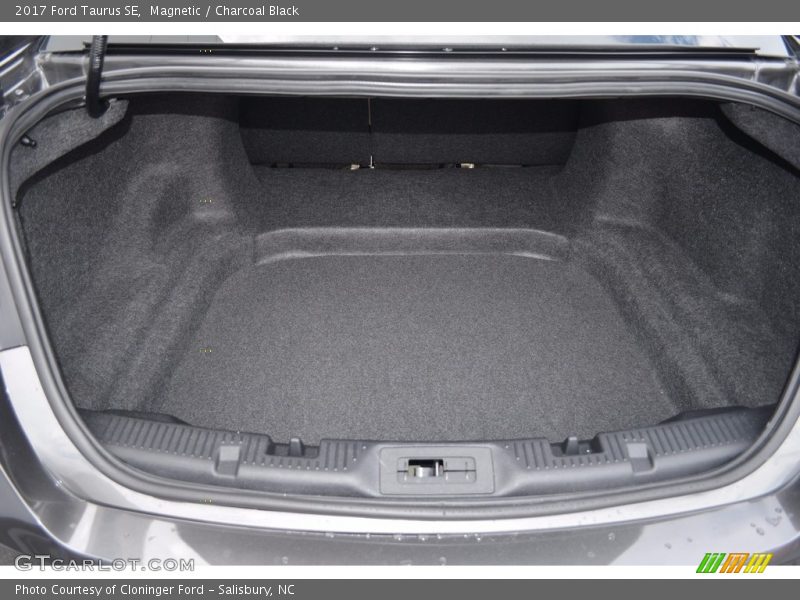Magnetic / Charcoal Black 2017 Ford Taurus SE
