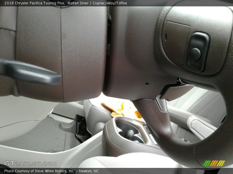 Molten Silver / Cognac/Alloy/Toffee 2018 Chrysler Pacifica Touring Plus