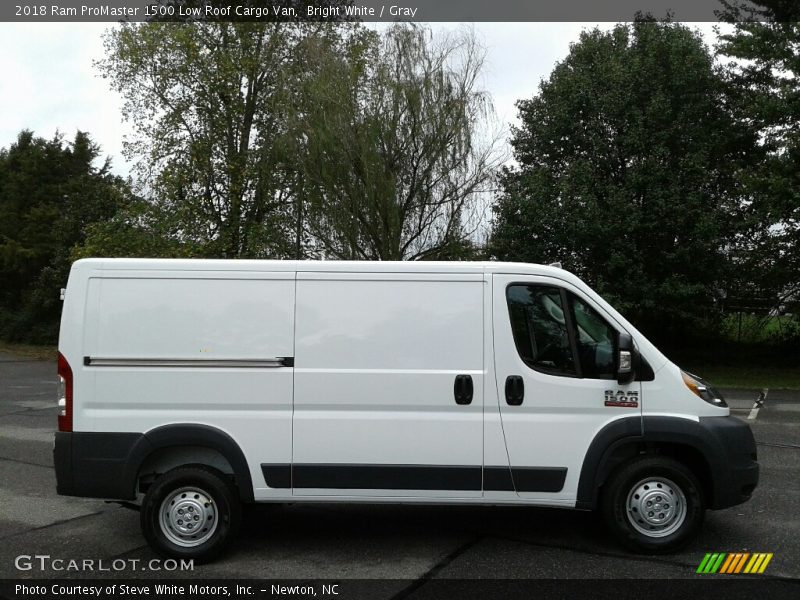  2018 ProMaster 1500 Low Roof Cargo Van Bright White
