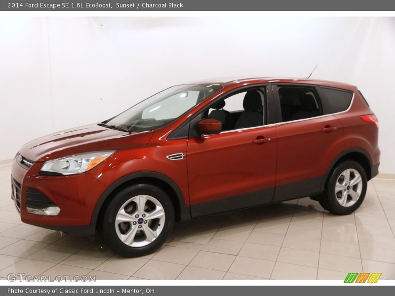 Sunset / Charcoal Black 2014 Ford Escape SE 1.6L EcoBoost