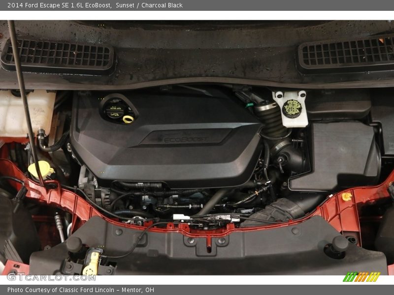 Sunset / Charcoal Black 2014 Ford Escape SE 1.6L EcoBoost