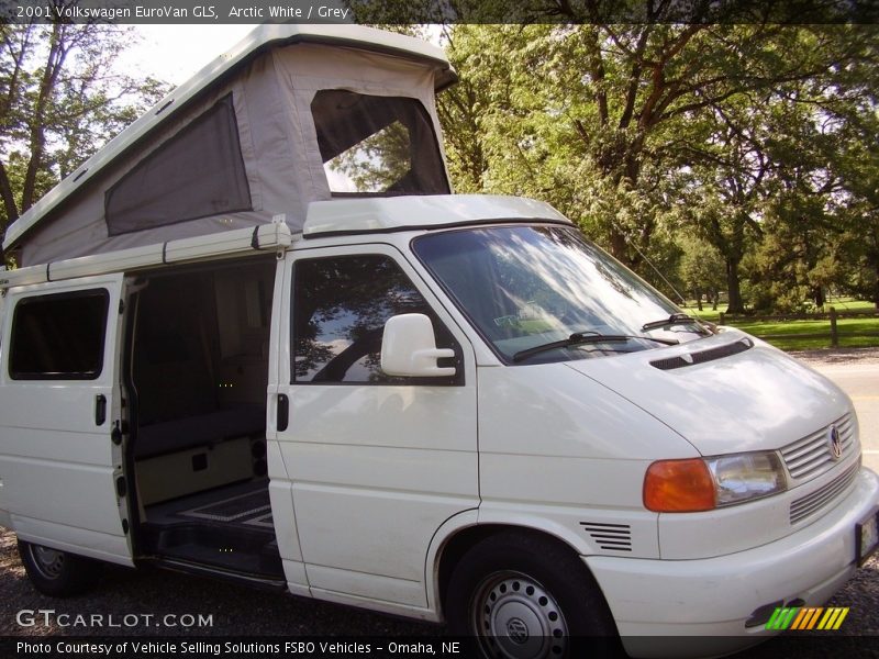 Arctic White / Grey 2001 Volkswagen EuroVan GLS