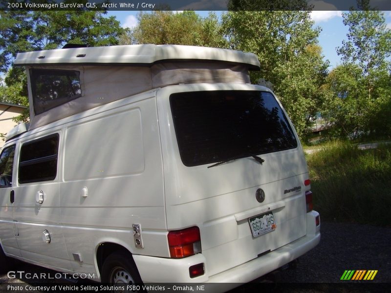 Arctic White / Grey 2001 Volkswagen EuroVan GLS