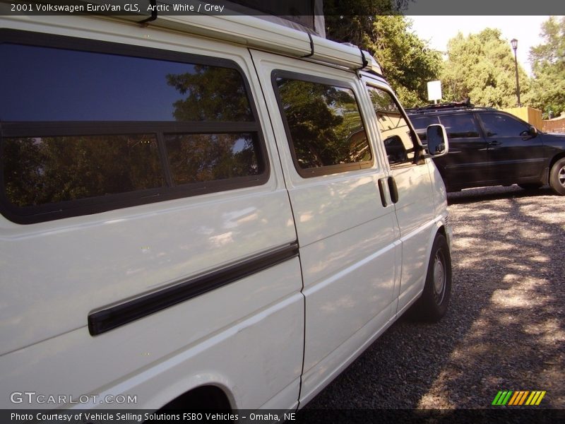 Arctic White / Grey 2001 Volkswagen EuroVan GLS