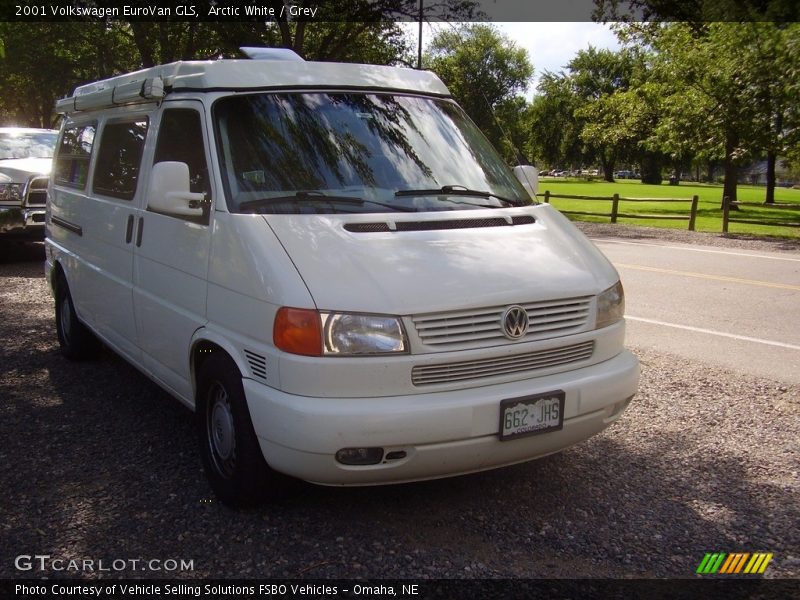 Arctic White / Grey 2001 Volkswagen EuroVan GLS