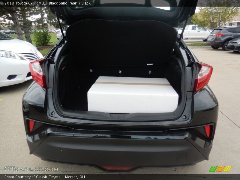 Black Sand Pearl / Black 2018 Toyota C-HR XLE