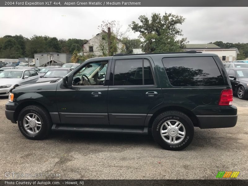 Aspen Green Metallic / Medium Parchment 2004 Ford Expedition XLT 4x4