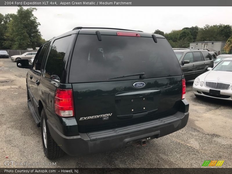 Aspen Green Metallic / Medium Parchment 2004 Ford Expedition XLT 4x4
