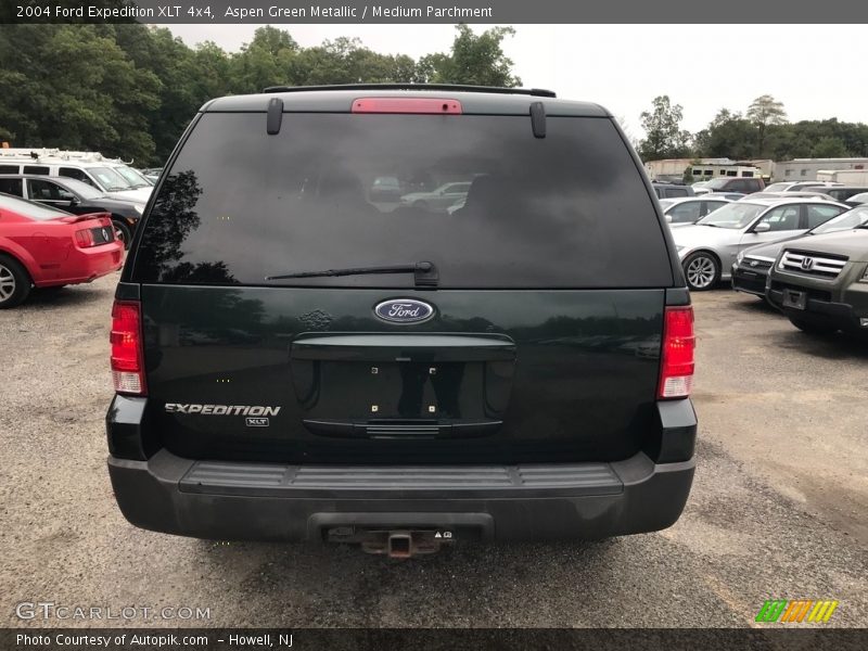 Aspen Green Metallic / Medium Parchment 2004 Ford Expedition XLT 4x4