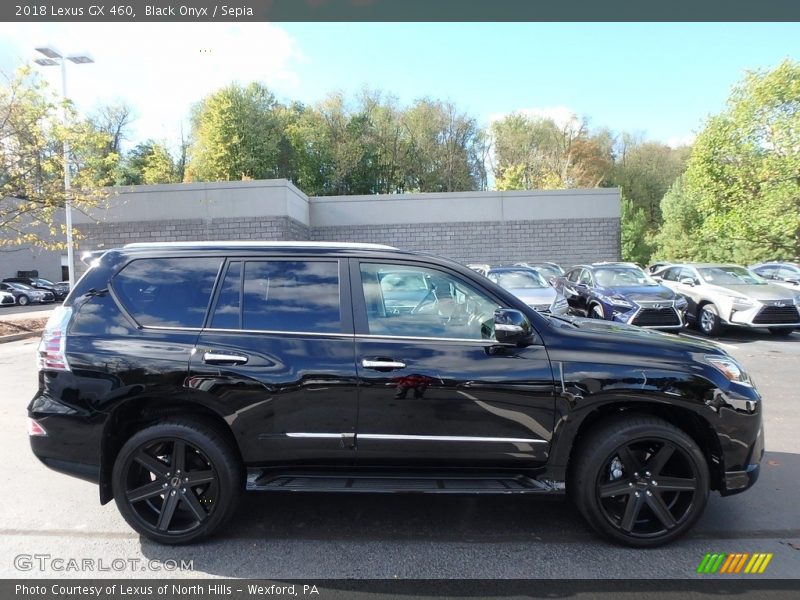 Black Onyx / Sepia 2018 Lexus GX 460