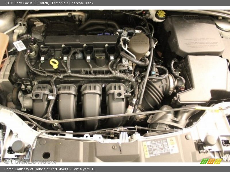 Tectonic / Charcoal Black 2016 Ford Focus SE Hatch